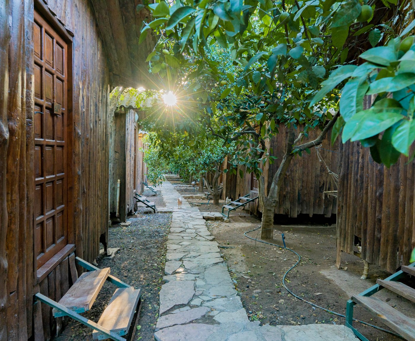 Olympos Turkmen Tree Houses