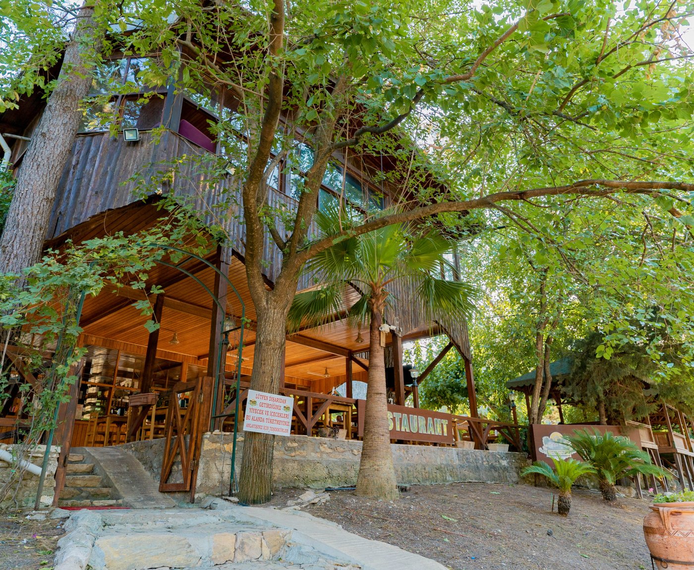 Olympos Turkmen Tree Houses