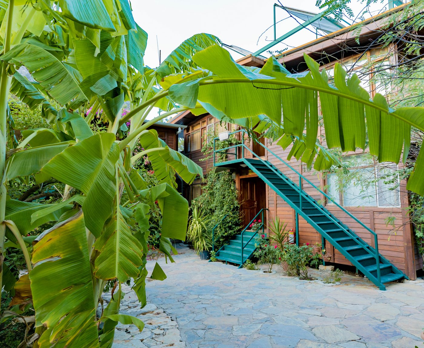 Olympos Turkmen Tree Houses