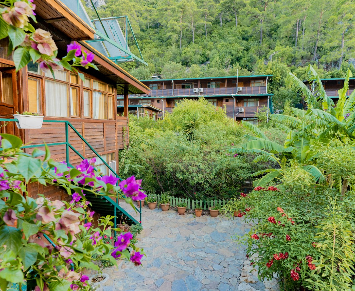 Olympos Turkmen Tree Houses