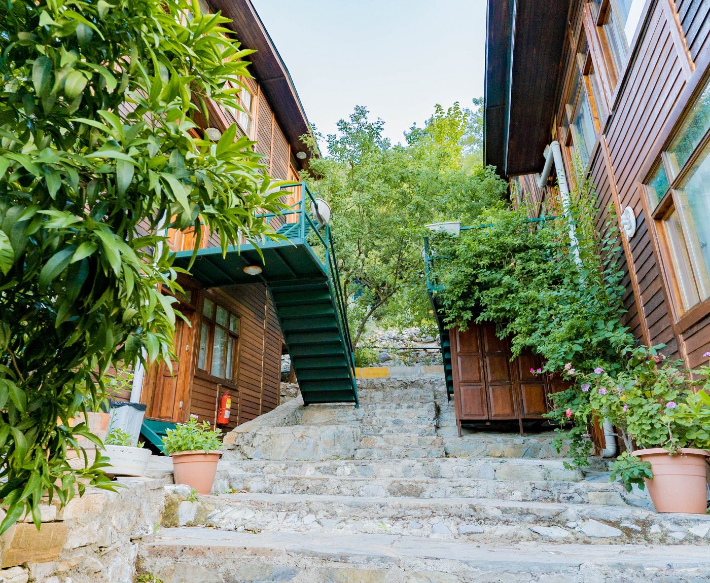 Olympos Turkmen Tree Houses