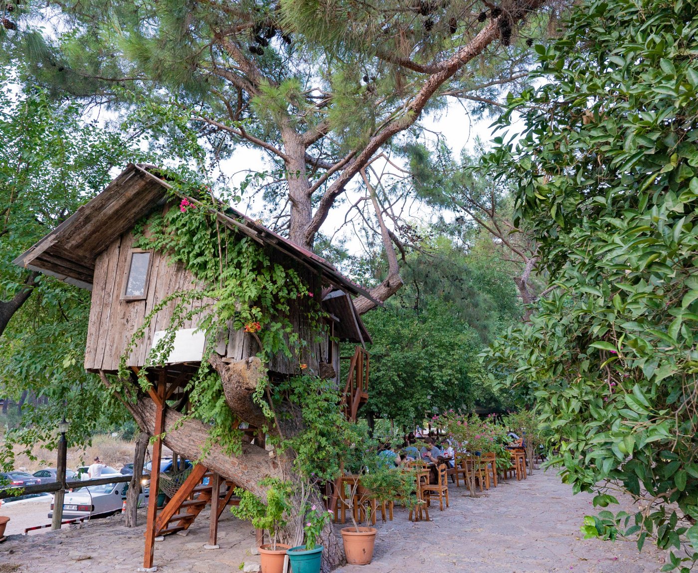 Olympos Turkmen Tree Houses