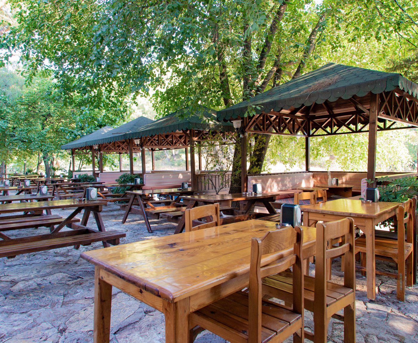 Olympos Turkmen Tree Houses