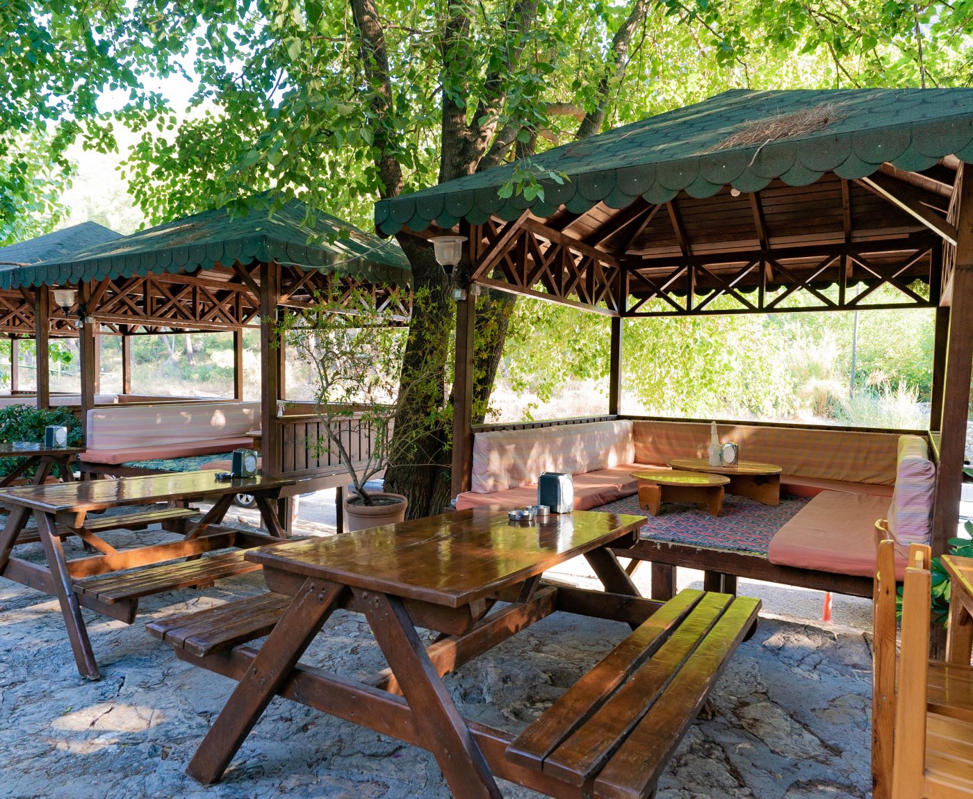 Olympos Turkmen Tree Houses