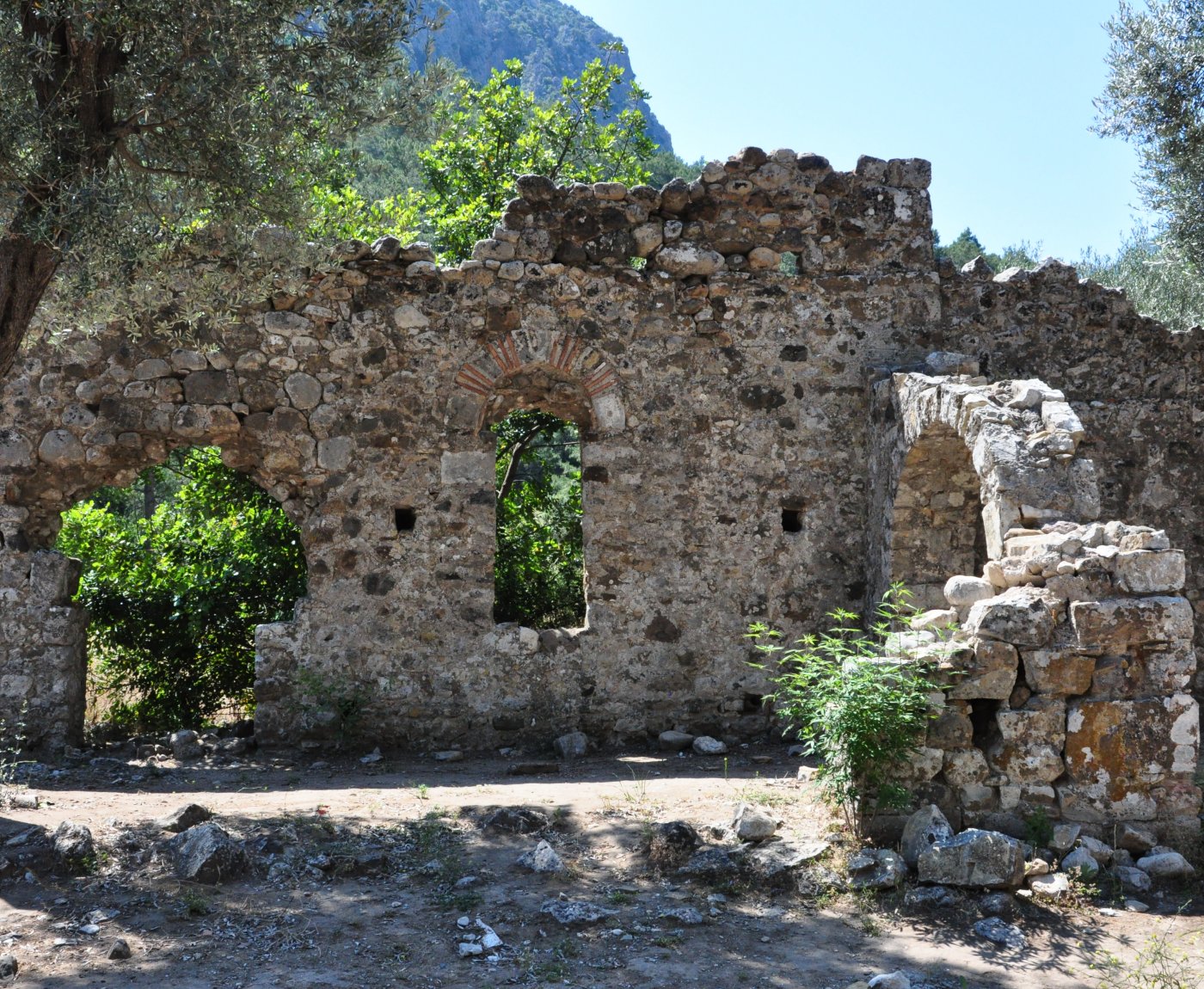 Olimpos Türkmen Ağaç Evleri