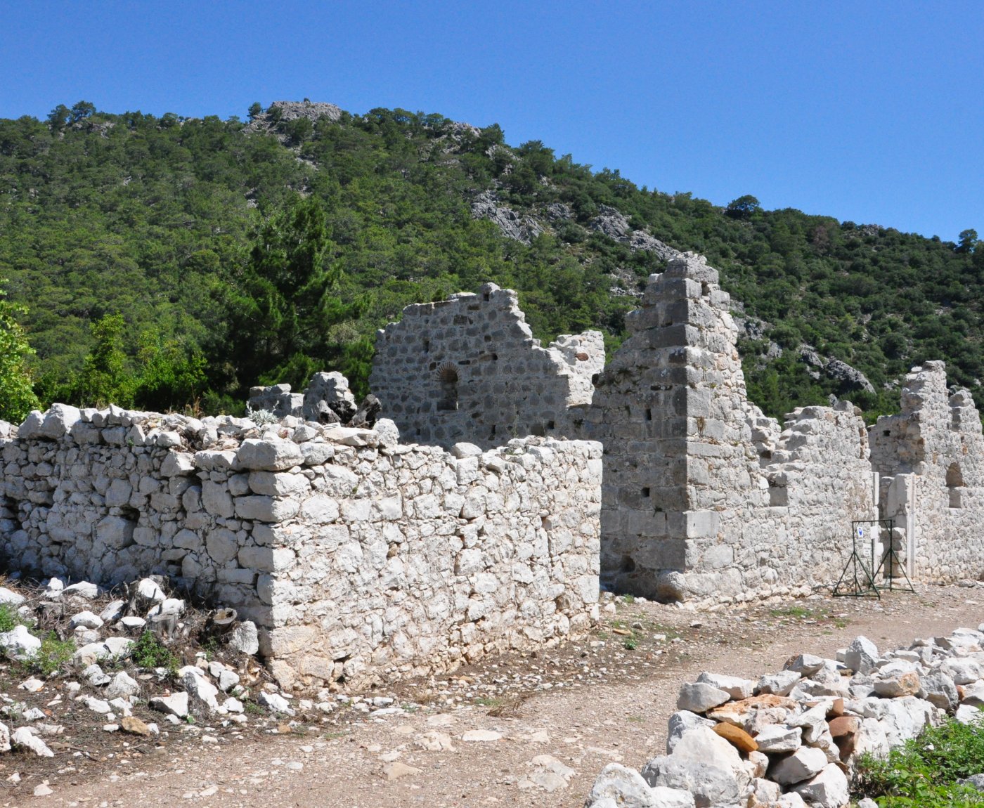 Olympos Turkmen Tree Houses