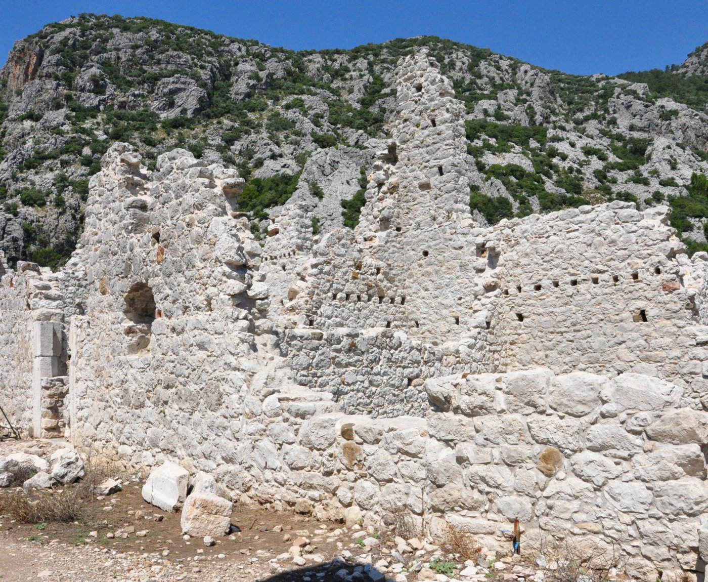 Olimpos Türkmen Ağaç Evleri