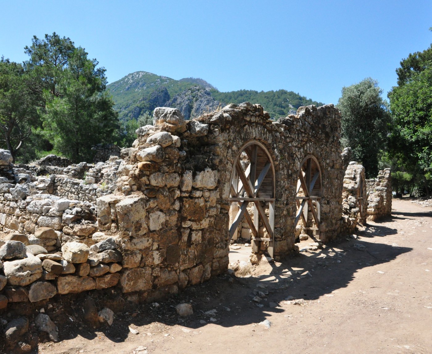 Olympos Turkmen Tree Houses