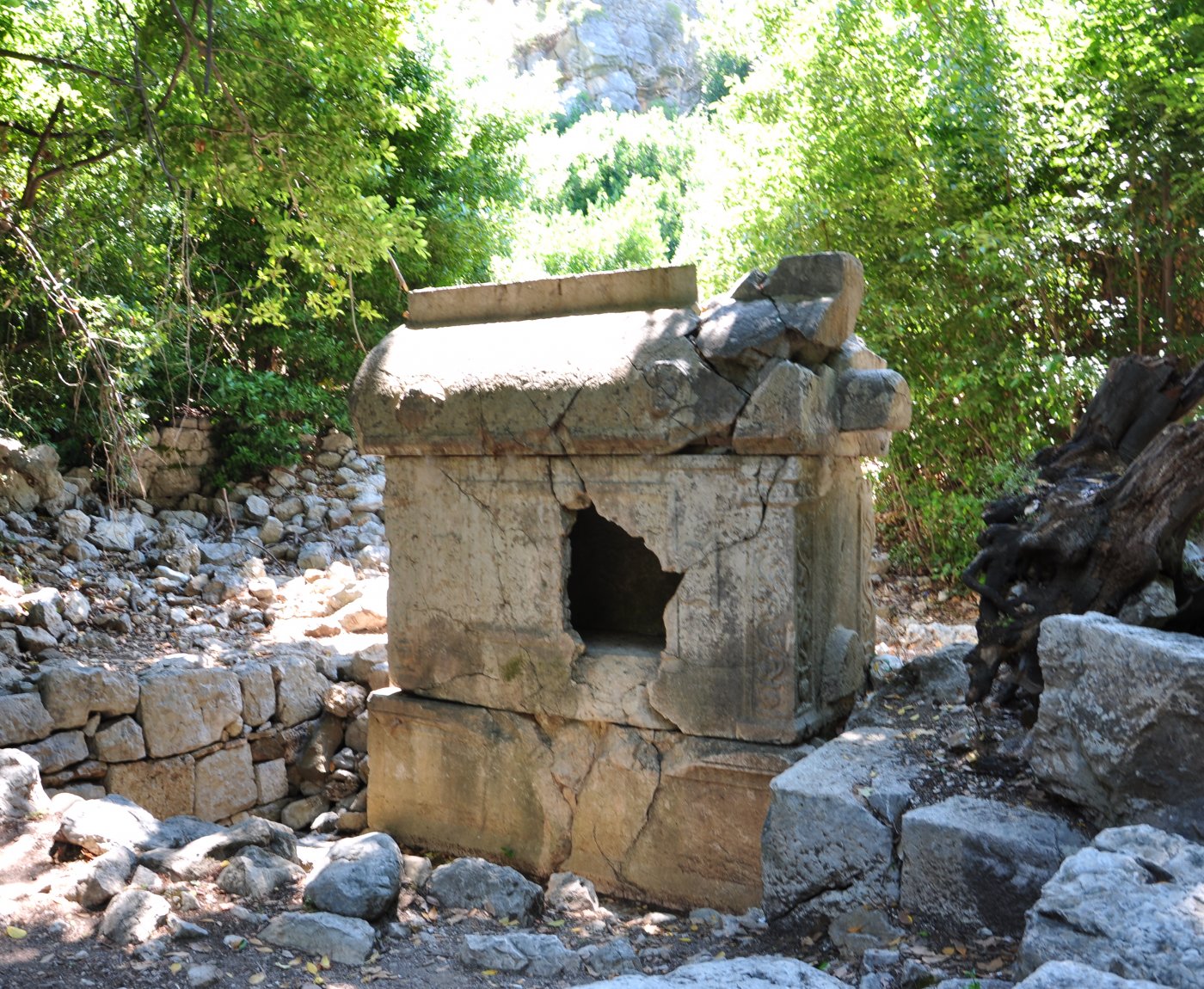 Olympos Turkmen Tree Houses