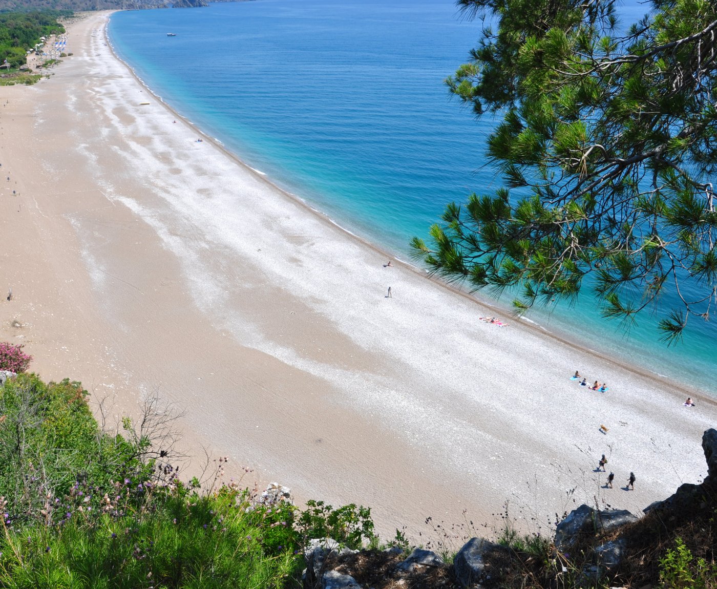 Olimpos Türkmen Ağaç Evleri