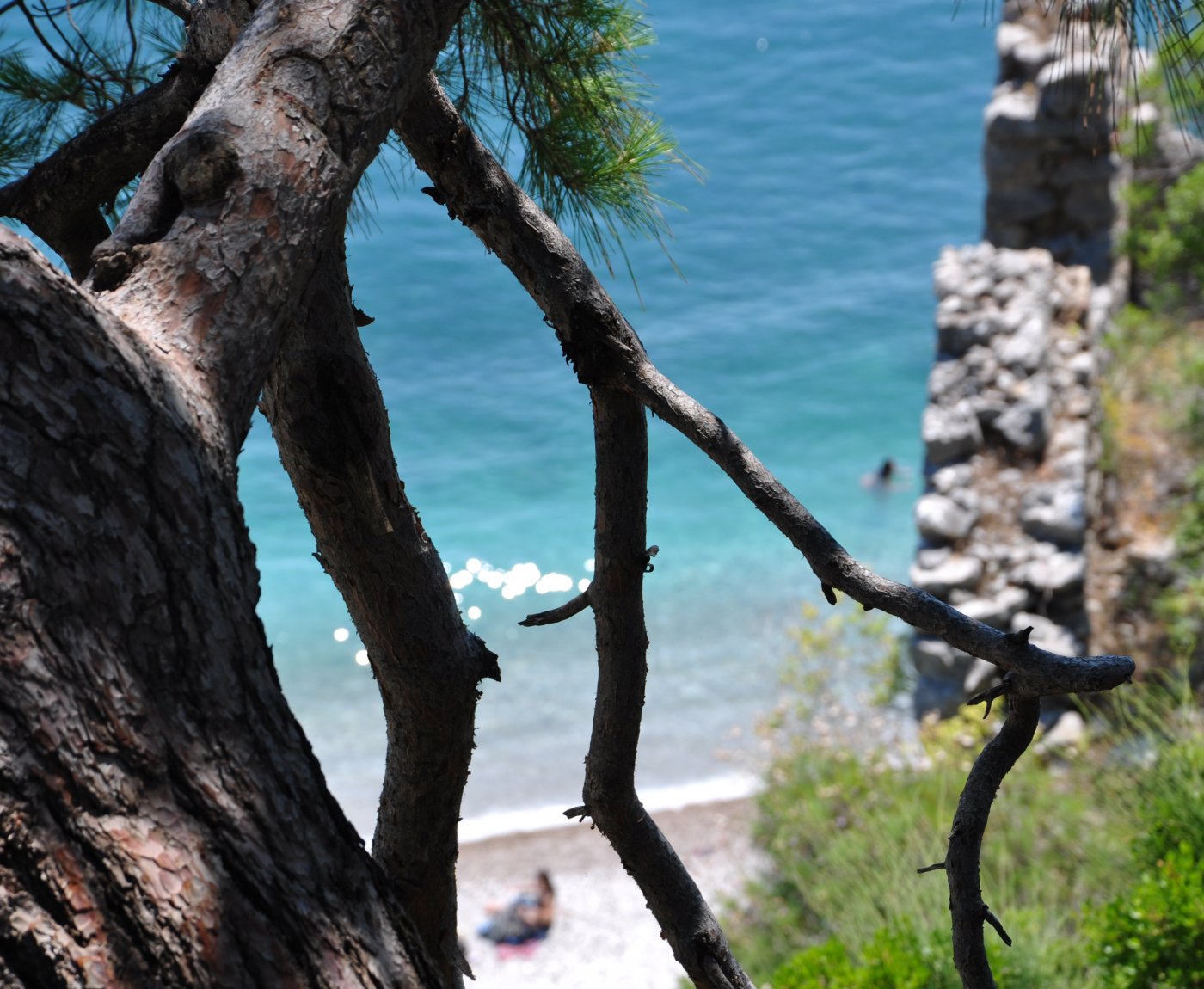 Olympos Turkmen Tree Houses