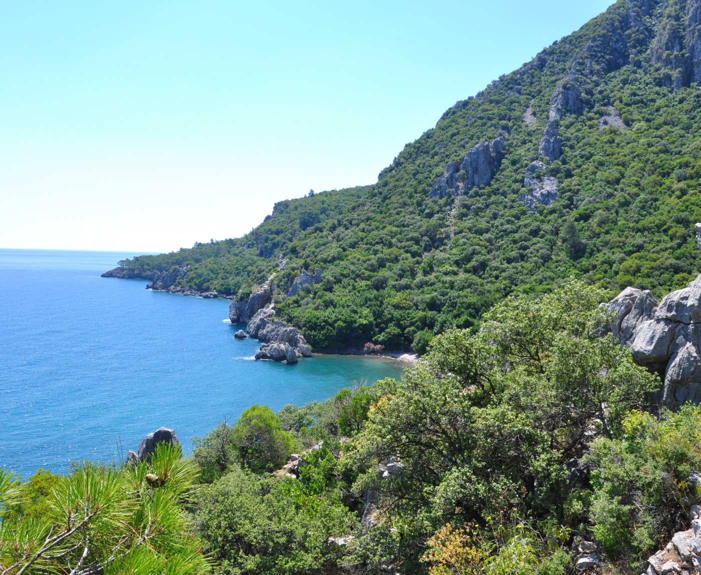 Olympos Turkmen Tree Houses