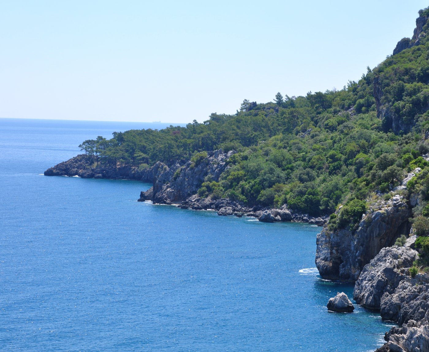 Olympos Turkmen Tree Houses