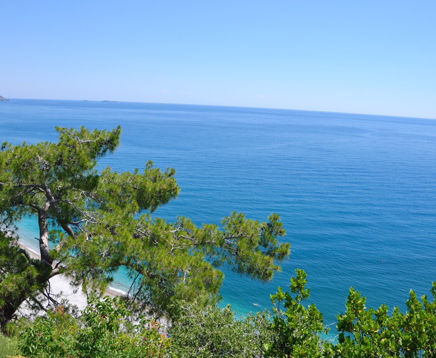 Olympos Turkmen Tree Houses