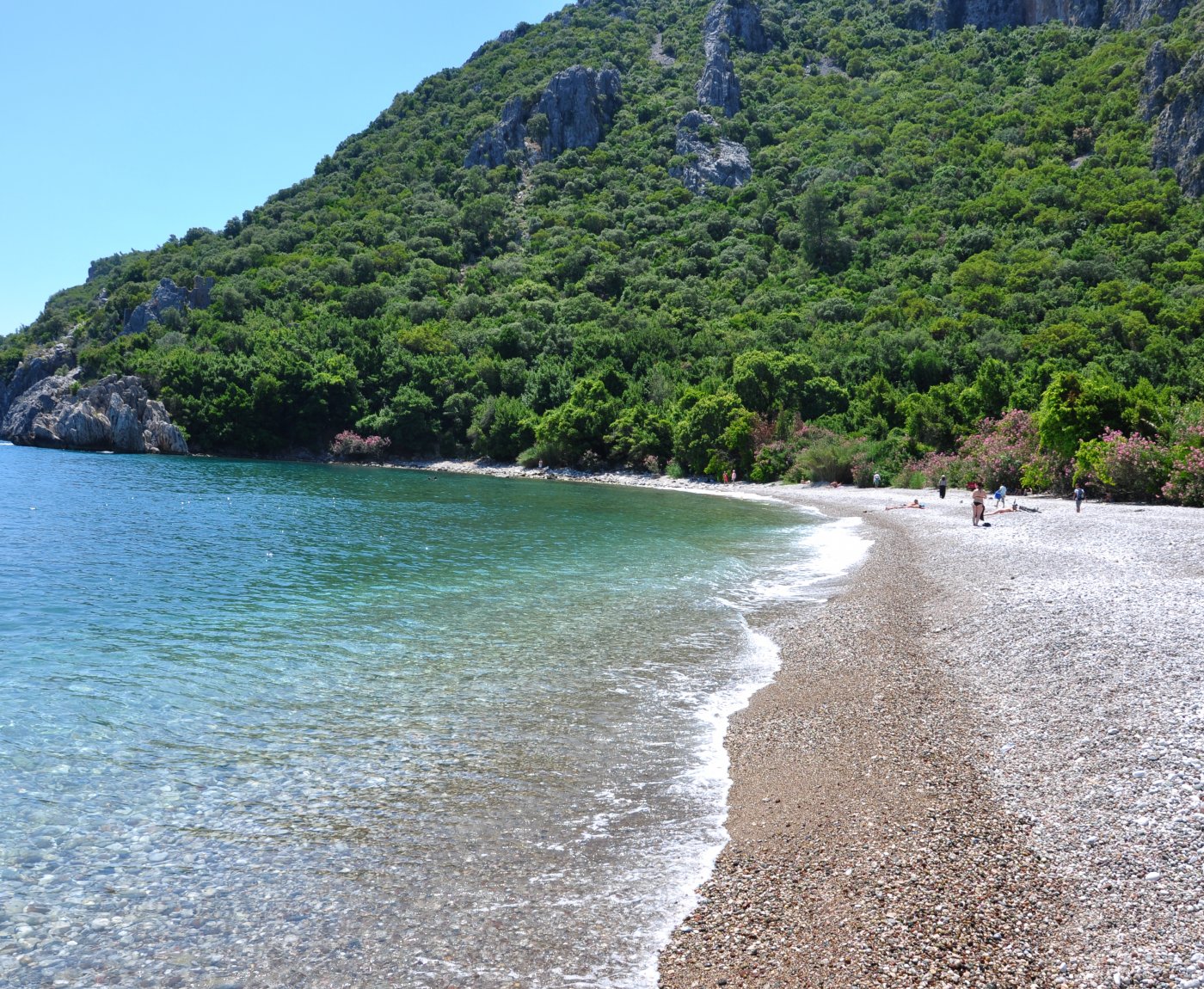 Olympos Turkmen Tree Houses