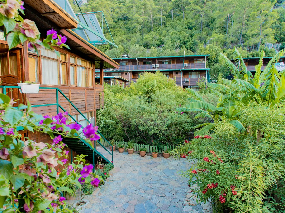 Olympos Turkmen Tree Houses