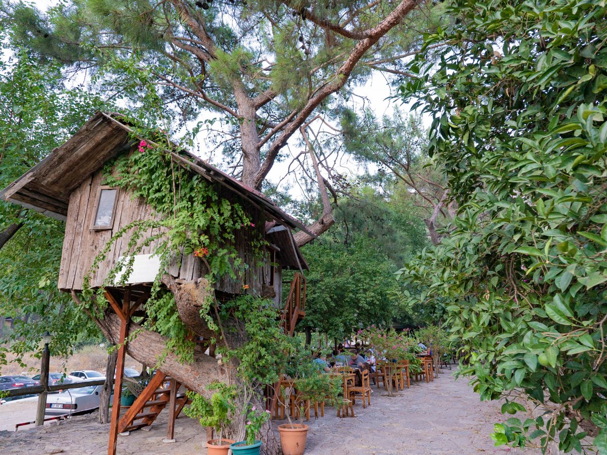 Olympos Turkmen Tree Houses