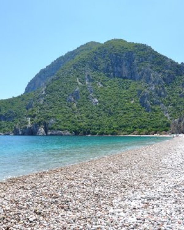 Olympos Turkmen Tree Houses