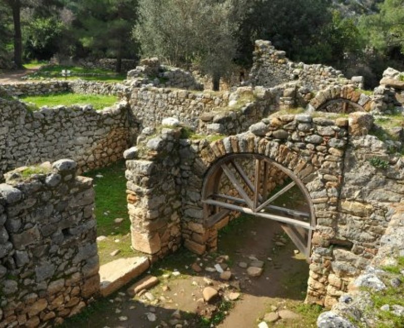 Olympos Turkmen Tree Houses