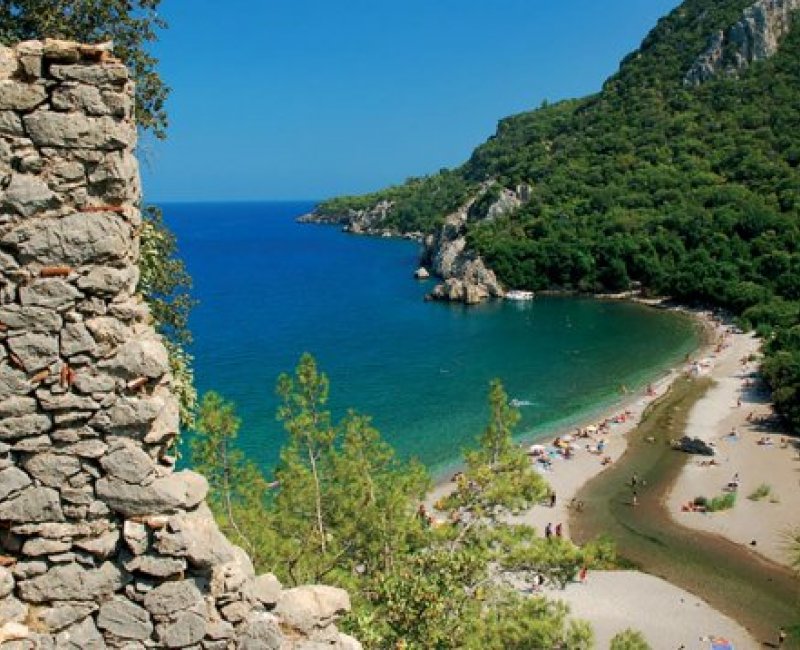 Olympos Turkmen Tree Houses