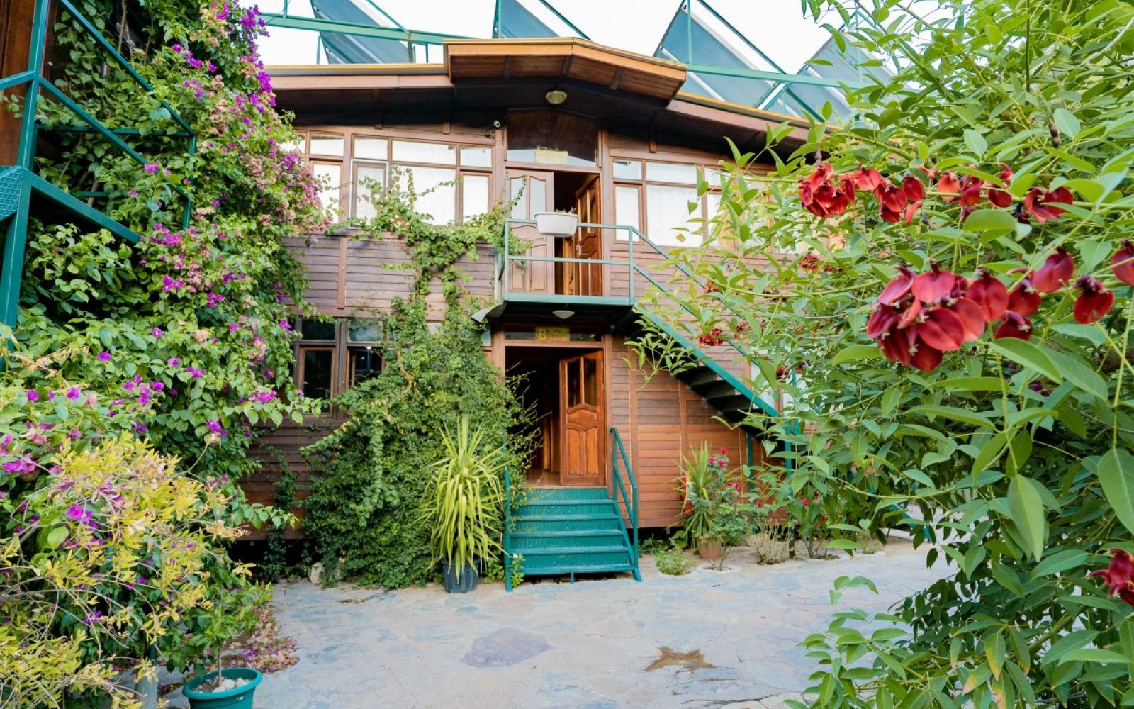 Olympos Turkmen Tree Houses